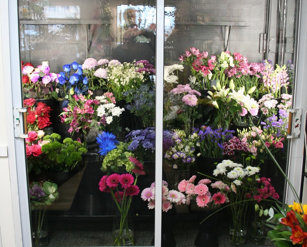 Roger fleuriste fleurs