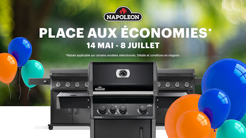 Napoleon place aux economies web fr