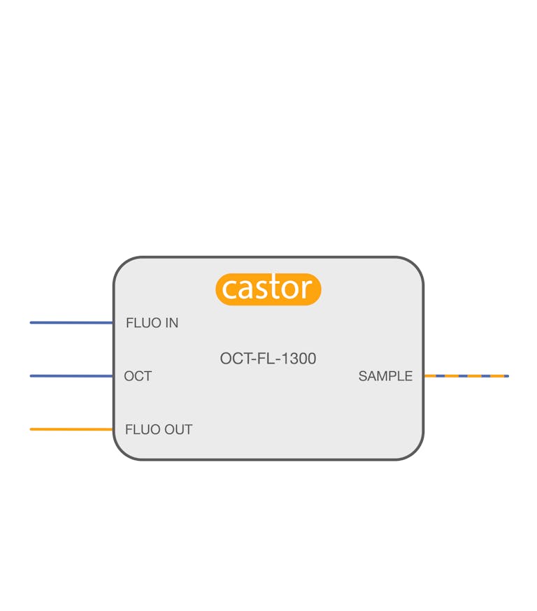 Our Products | Castor