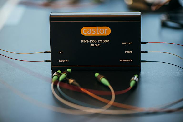 Castor