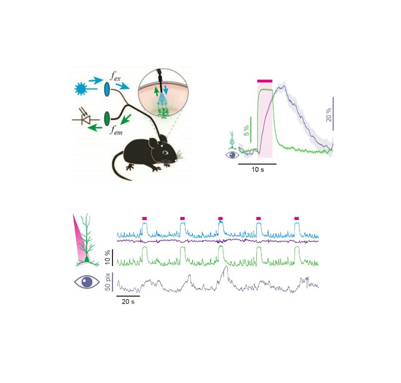 Spectroscopy | Castor