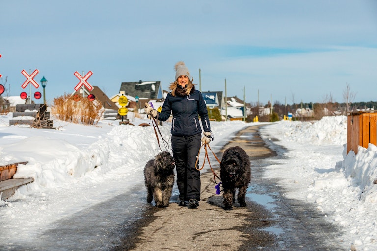 Halte de la gare hiver