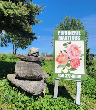 Affiche Martinus
