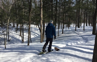 Bois Robert sentier hiver raquette