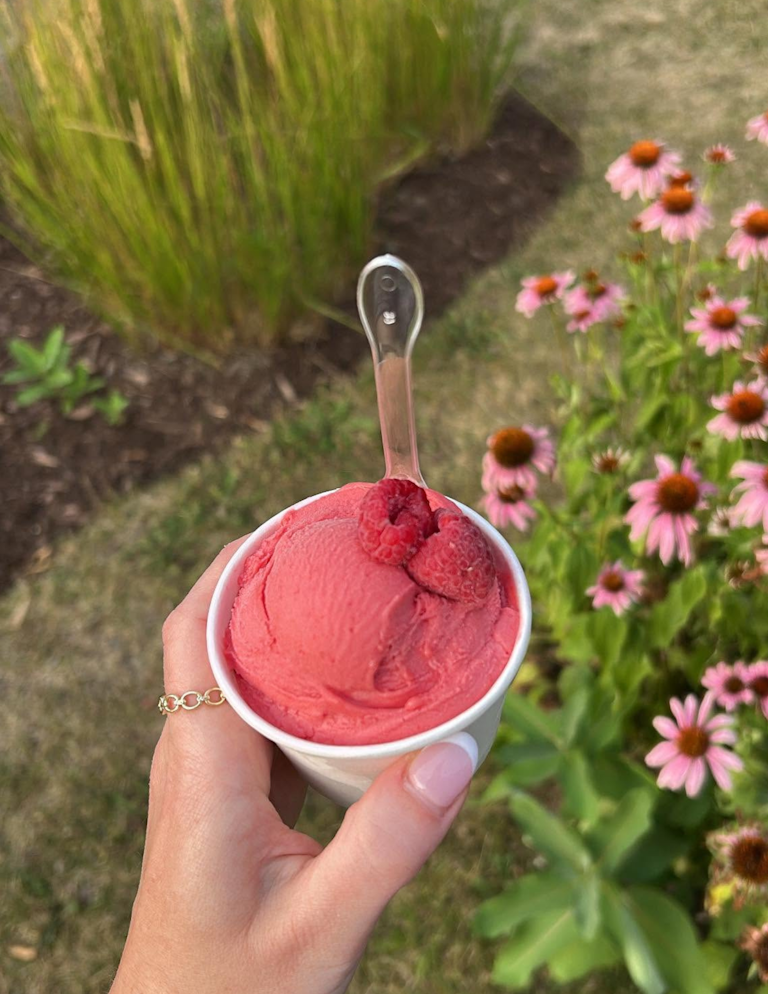 Glaces1
