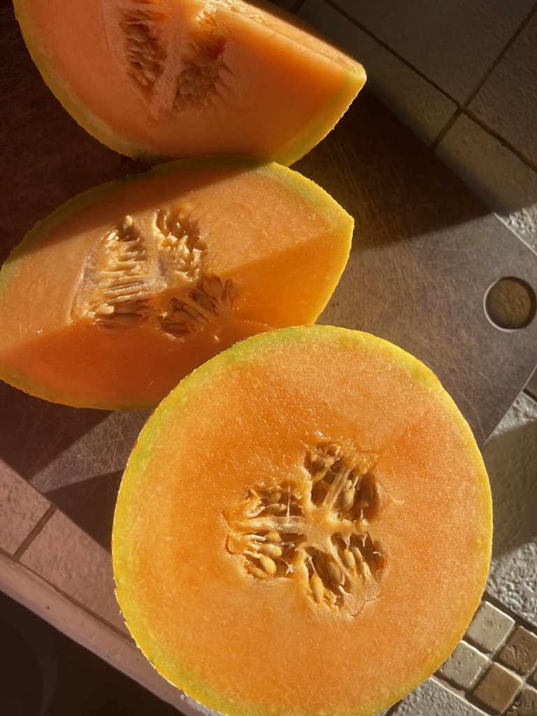 Mange tes legumes 1