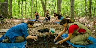 Pointe du buisson deny cardinal 040817 187 2 1