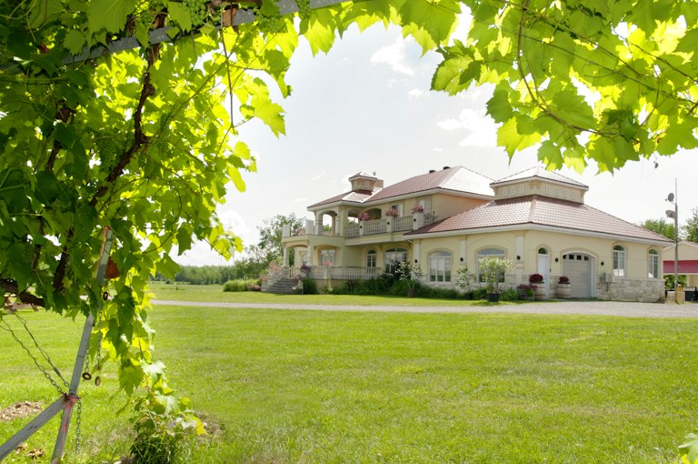 Vignoble Cortellino Ete