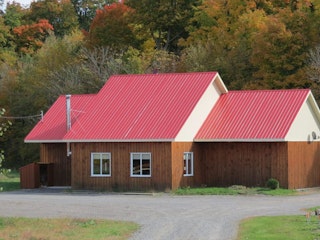 Erabliere et bleuetiere chayer 1024x768