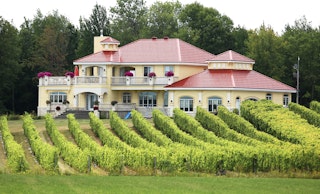 Vignoble cortellino 2 LIEU scaled