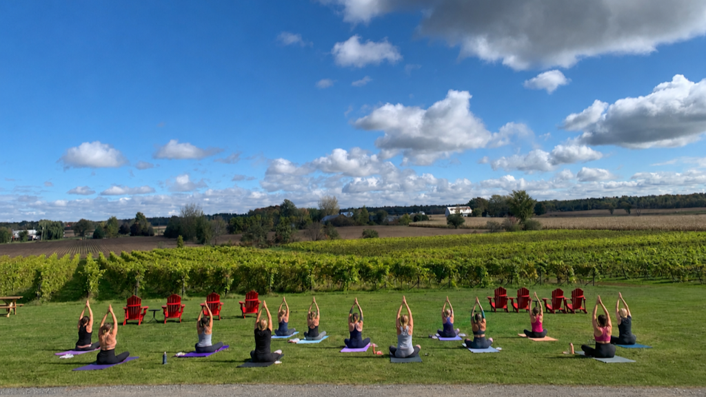 Yoga et vin Cortellino