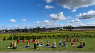 Yoga et vin Cortellino