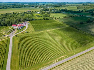 vignoble J.O. Montpetit