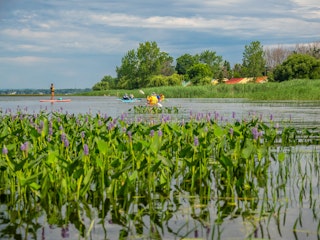Découverte Kayak nature