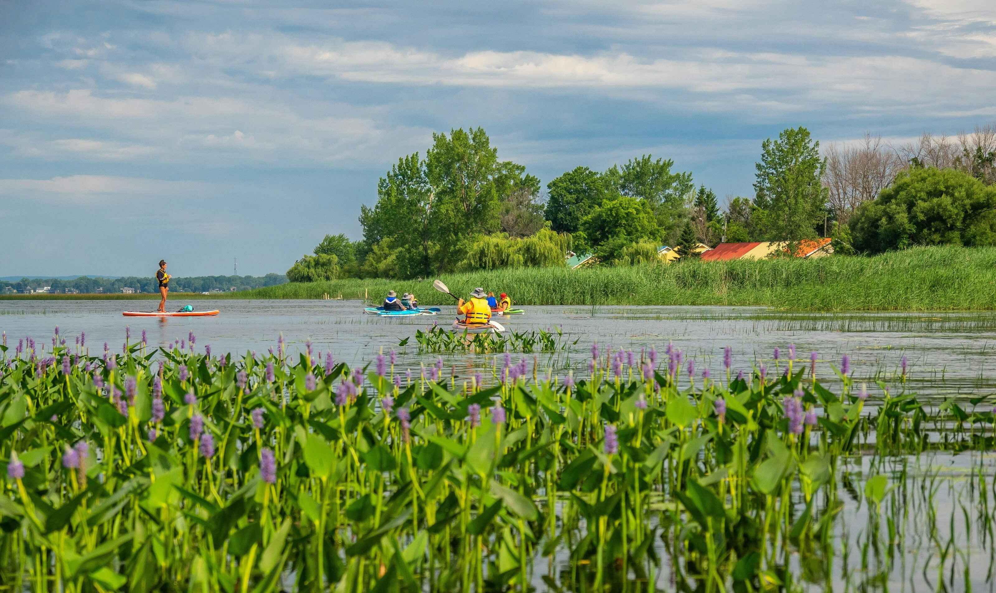 Accueil kayak