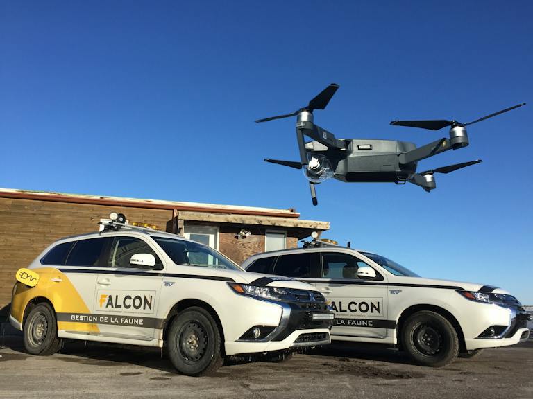 Falcon Environmental