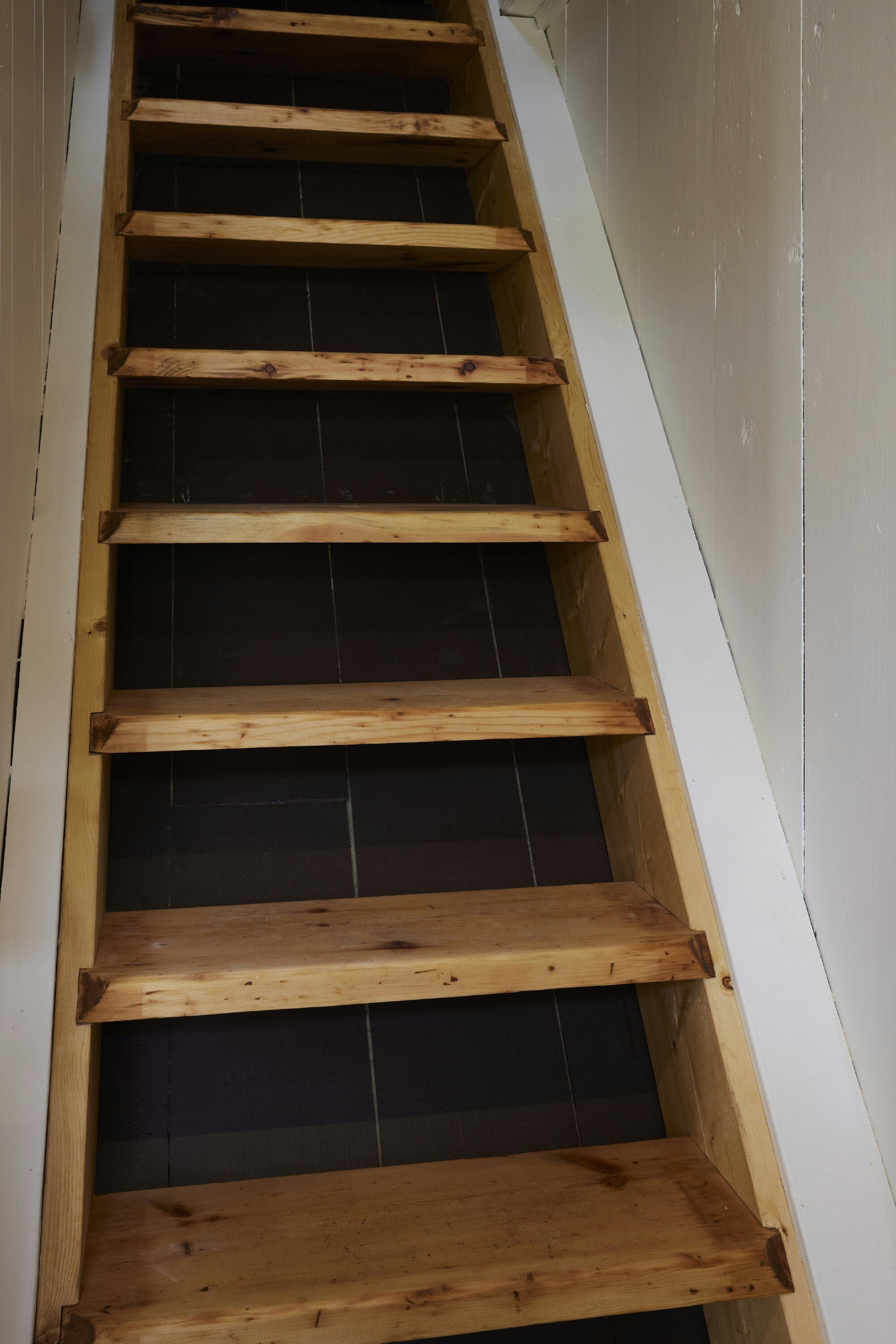 Crédit Annie Fafard