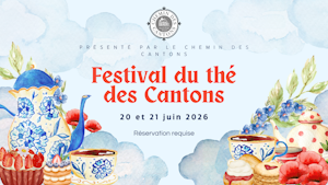 Banniere Festival the 2026 FR