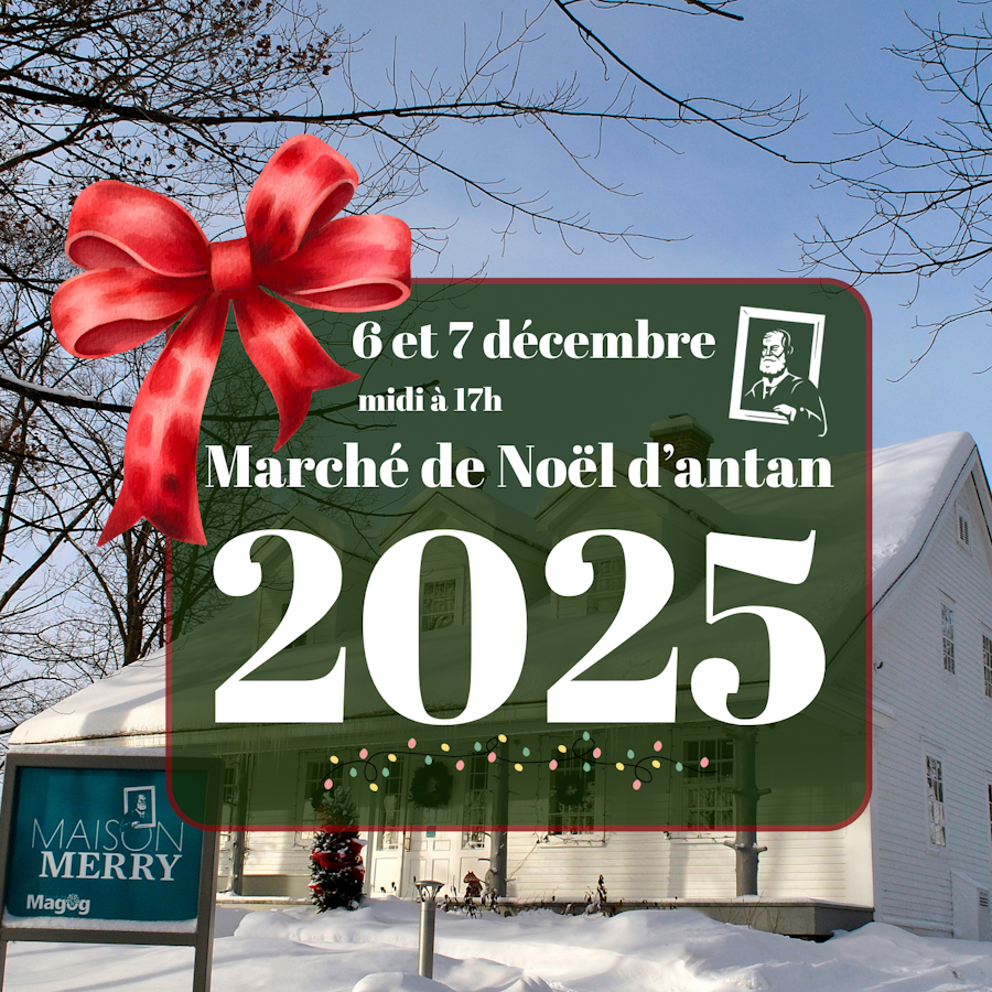 Marche de Noel dantan 2025