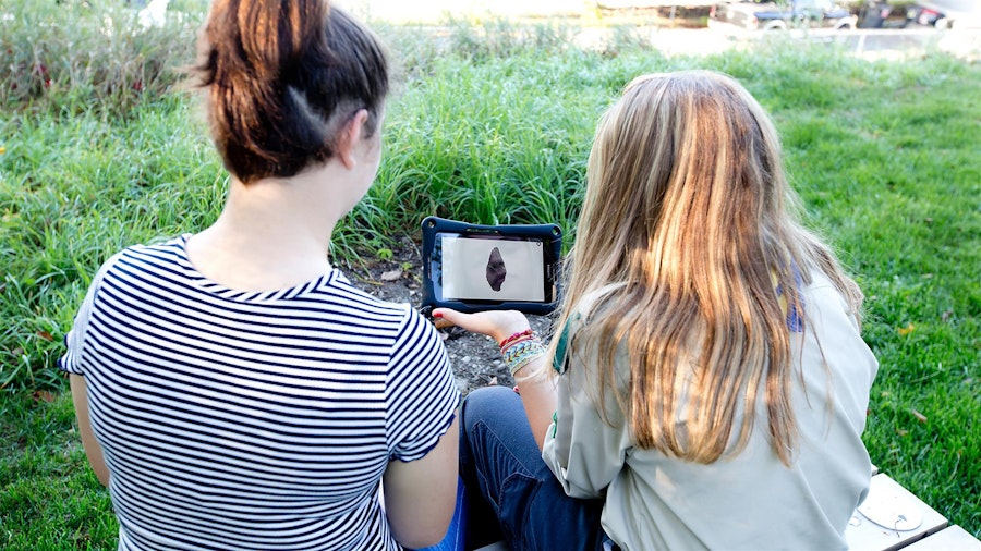 Experience mobile antoinepetrecca