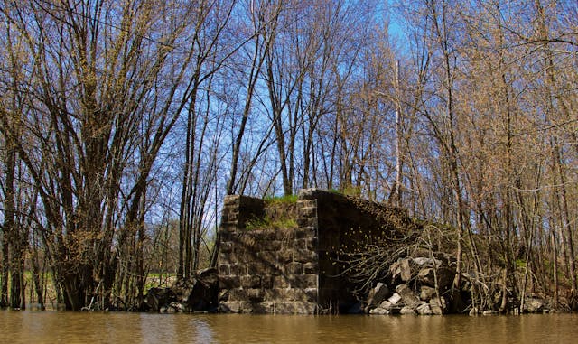 Réserve écologique LéonProvancher MRC de Bécancour
