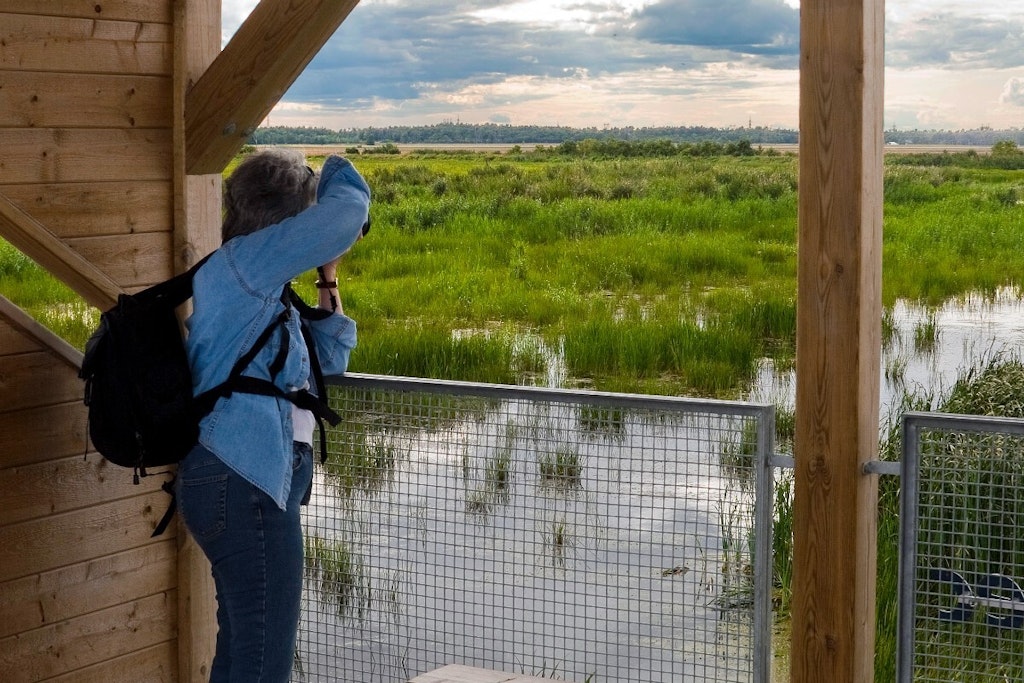 Halte du Heron Parc regional Beauharnois Salaberry
