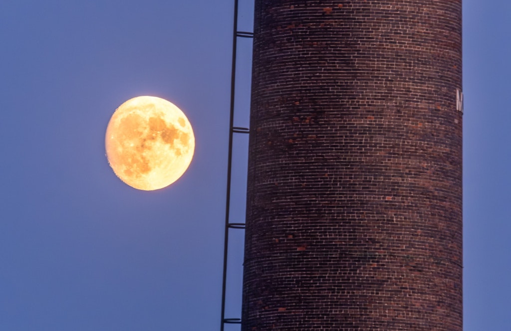 La Montreal Cotton de Jean-Philippe Ménard (Prix coup de cœur)