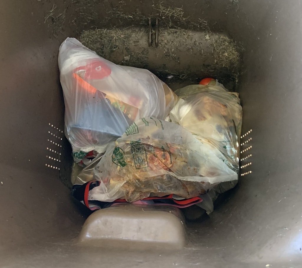 Bac brun contaminant