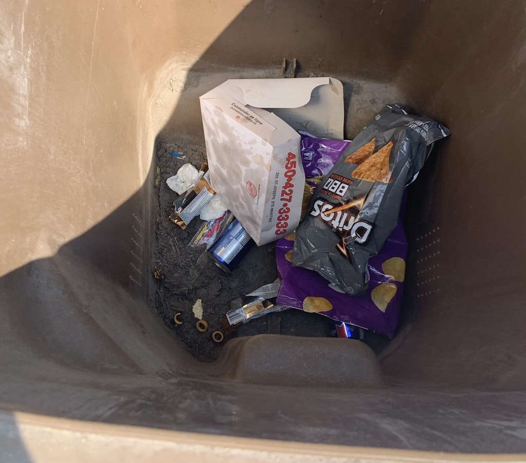 Bac brun contaminant2