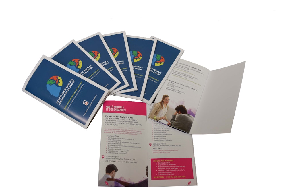 Carnet sante mentale web