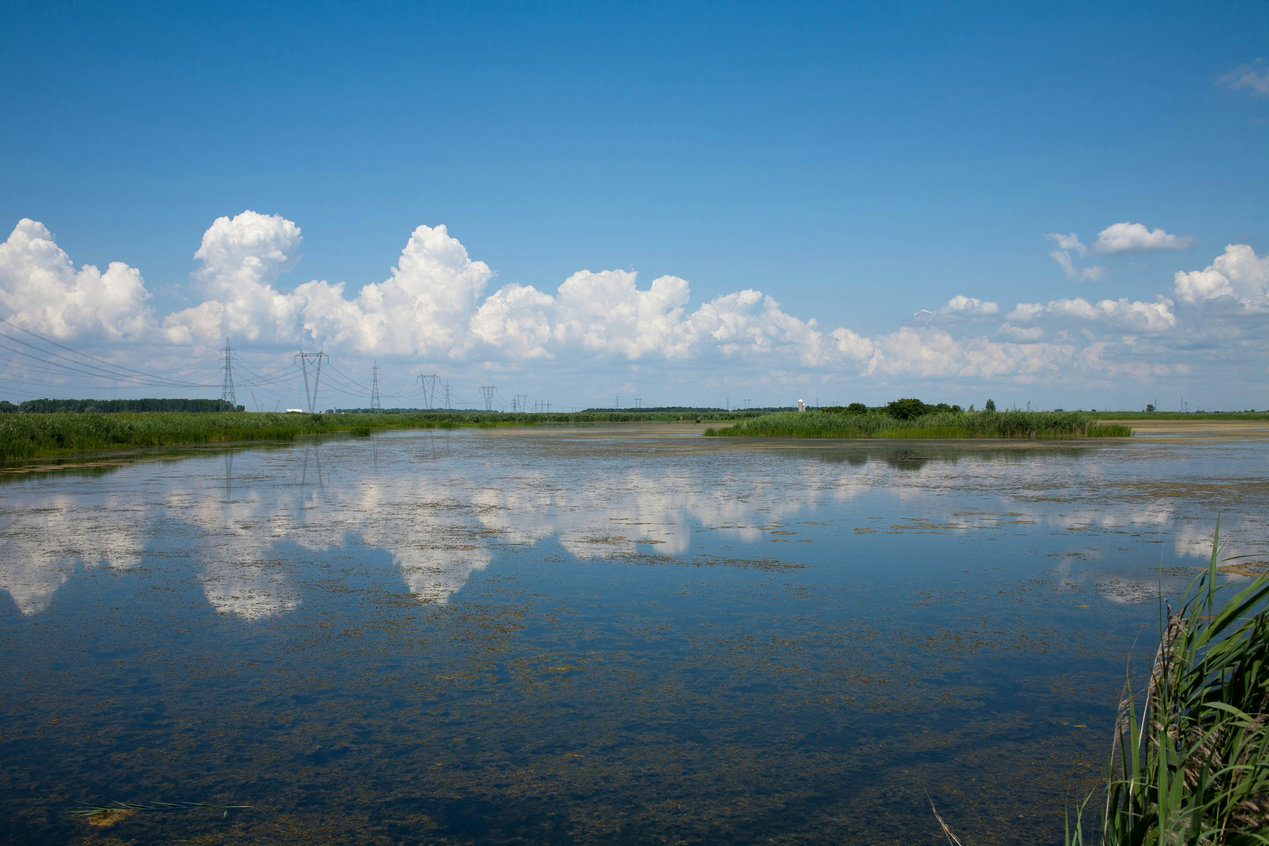 22 Le marais Michel Besner