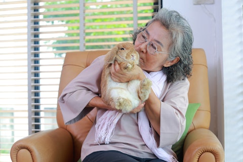 Affectionate elderly woman embracing a fluffy brown bunny on an armchair. Concept of pet therapy, mental health wellbeing, and lifestyle of seniors.